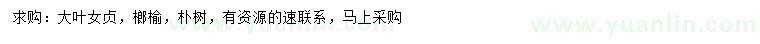 求購大葉女貞、榔榆、樸樹