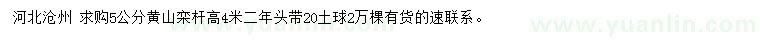 求購(gòu)5公分黃山欒