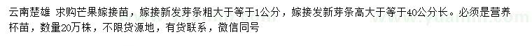 求購芒果嫁接苗