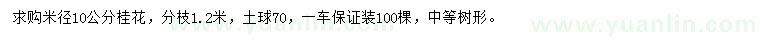 求購米徑10公分桂花