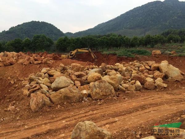 黃蠟石礦山實拍3供應/黃蠟石礦山實拍3圖片
