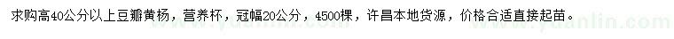 求購(gòu)高40公分以上豆瓣黃楊