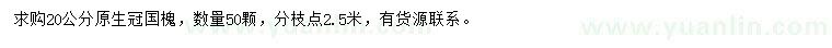 求購(gòu)20公分國(guó)槐