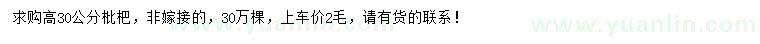 求購高30公分枇杷