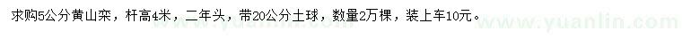求購(gòu)5公分黃山欒