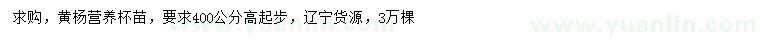 求購高400公分黃楊