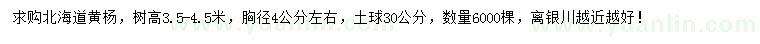 求購高3.5-4.5米北海道黃楊