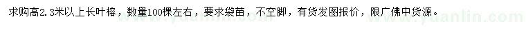 求購(gòu)高2.3米以上長(zhǎng)葉榕