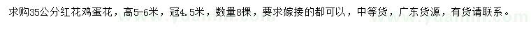 求購35公分紅花雞蛋花