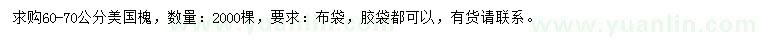 求購(gòu)60-70公分美國(guó)槐