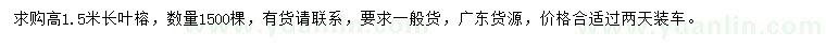 求購高1.5米長葉榕