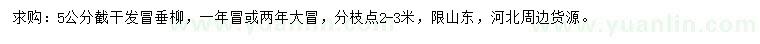 求購5公分垂柳