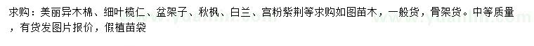 求購美麗異木棉、細葉欖仁、盆架子等
