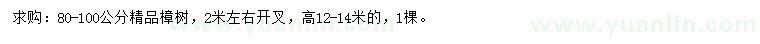 求購(gòu)80-100公分樟樹