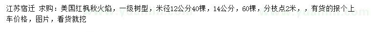 求購米徑12、14公分美國紅楓秋火焰