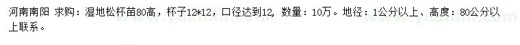 求購高80公分濕地松