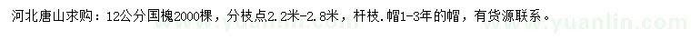 求購12公分國槐