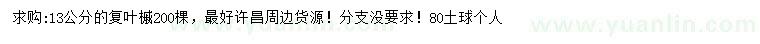 求購13公分復(fù)葉槭