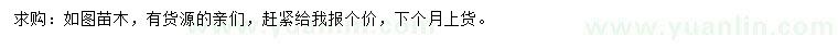 求購叢生百日紅、垂絲海棠、大葉黃楊球等