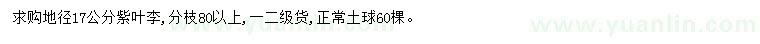 求購地徑17公分紫葉李