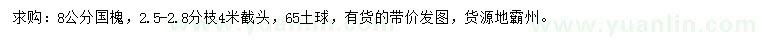 求購8公分國槐