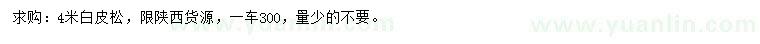 求購(gòu)4米白皮松