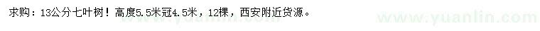 求購13公分七葉樹