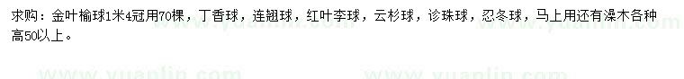 求購(gòu)金葉榆球，丁香球，連翹球等