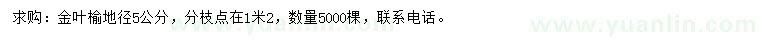 求購地徑5公分金葉榆
