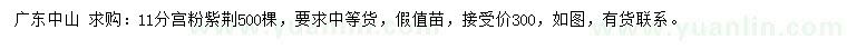 求購(gòu)11公分宮粉紫荊