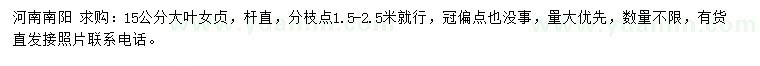 求購(gòu)15公分大葉女貞