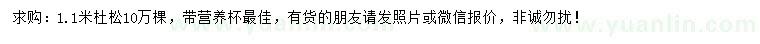 求購1.1米杜松