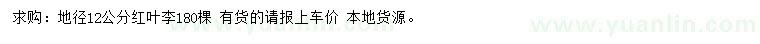 求購地徑12公分紅葉李