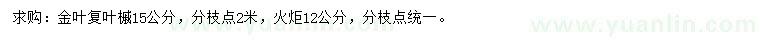 求購12公分火炬、15公分金葉復(fù)葉槭