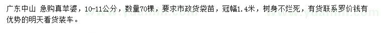 求購10-11分真蘋婆