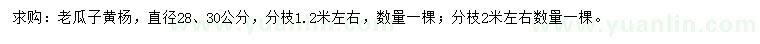 求購(gòu)直徑28、30公分老瓜子黃楊