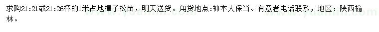 求購1米樟子松