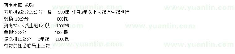 求購五角楓、楓楊、河南檜等