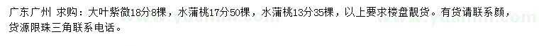求購13、17公分水蒲桃、18分大葉紫微