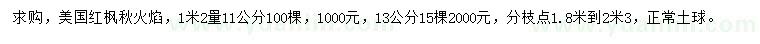 求購(gòu)1.2米量11、13公分美國(guó)紅楓秋火焰