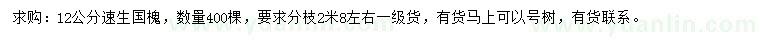 求購12公分速生國槐
