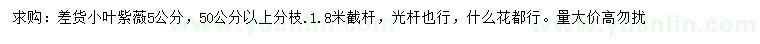 求購5公分小葉紫薇