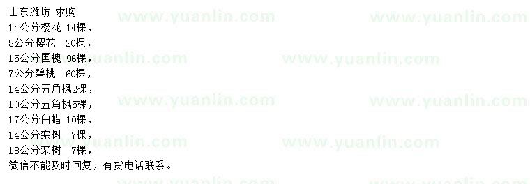 求購櫻花、國槐、碧桃等