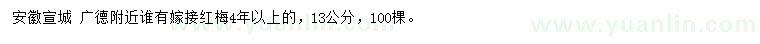 求購(gòu)13公分紅梅