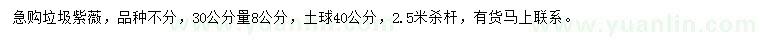 求購30量8公分紫薇
