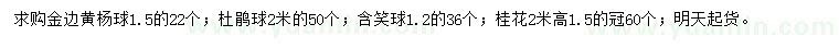 求購金邊黃楊球、杜鵑球、含笑球等