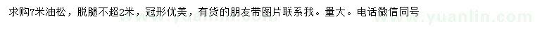 求購(gòu)7米油松