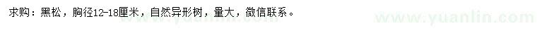 求購(gòu)胸徑12-18公分黑松