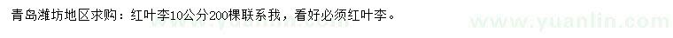 求購(gòu)10公分紅葉李