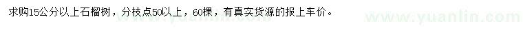 求購15公分以上石榴樹